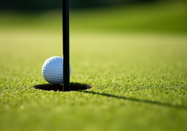 Detaillierte Ansicht des gepflegten Greens